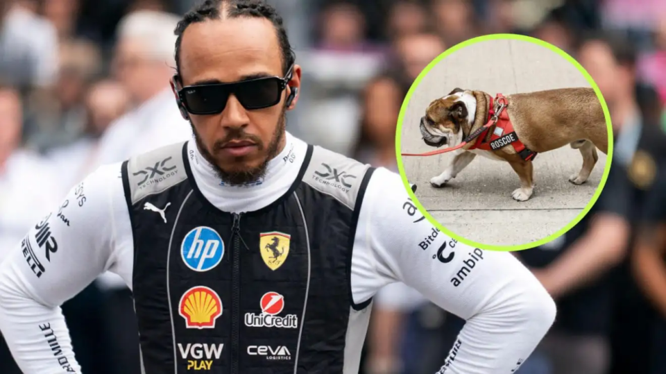 索伯车队绝杀威廉姆斯，汉密尔顿关键制胜